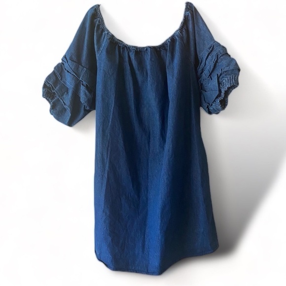 LOVE by Christley Denim Country Western Ruffle Sleeve Dress Pull-On Size 2X - Picture 10 of 11